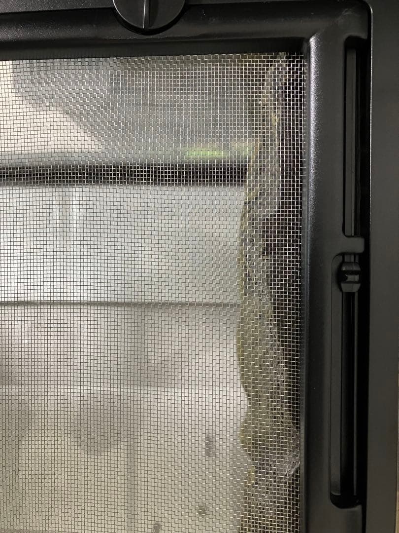 グラステリウム6030