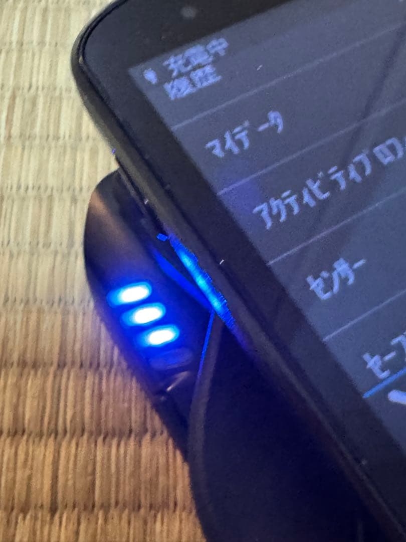 GARMIN 拡張バッテリーパック