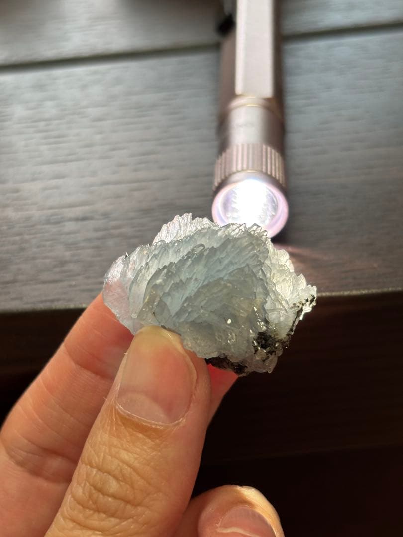 ブルーバライト