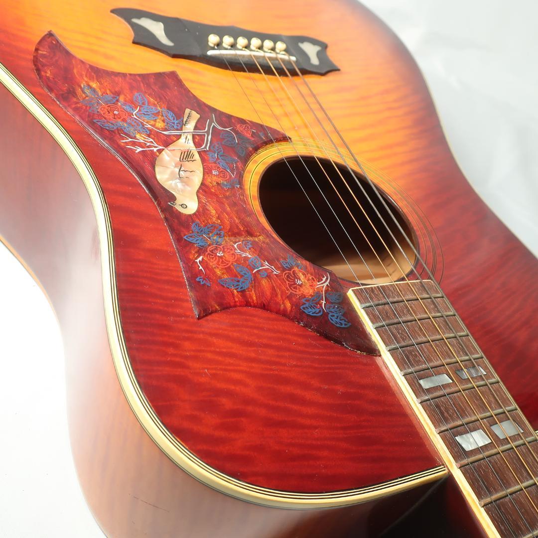 JAGARD TB-350 ギター ハミングバードDOVEタイプ ハードケース付