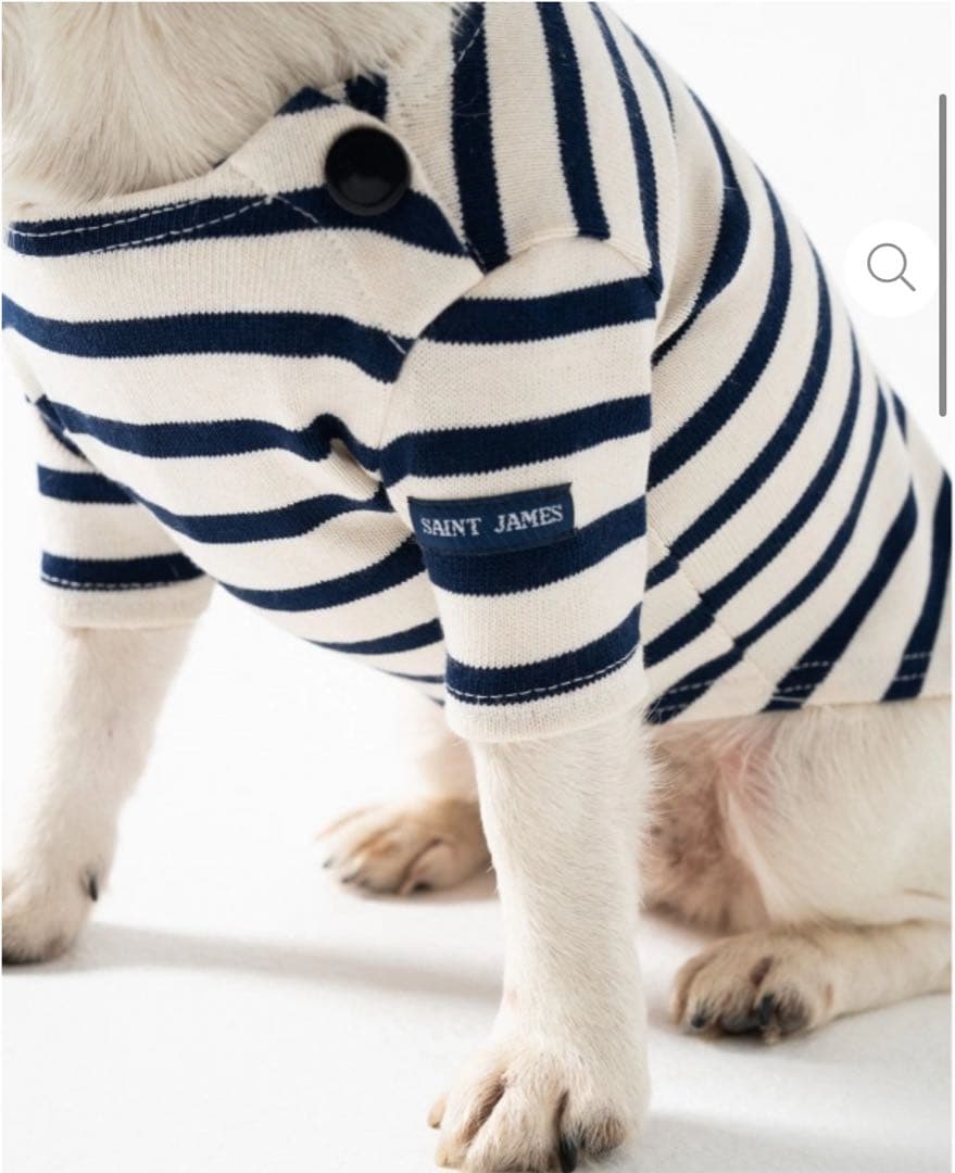 【新品未使用／日本未入荷】セントジェームス 犬服 Lサイズ　フランスパビリオン