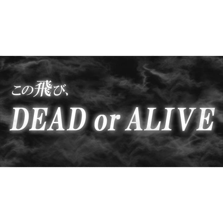 ・新品 強反発ドライバー「悪童」三菱ケミカル製 プレミア飛匠シャフト仕様