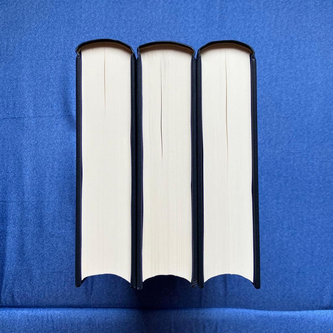 世界歴史大系 フランス史 1~3巻セット 山川出版社 世界各国史 通史 概説