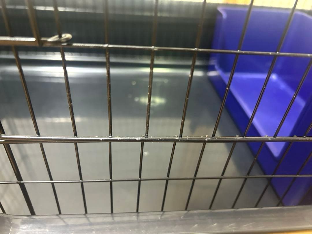 三晃商会 ワイルドホーム フェレット ケージ トイレ付き