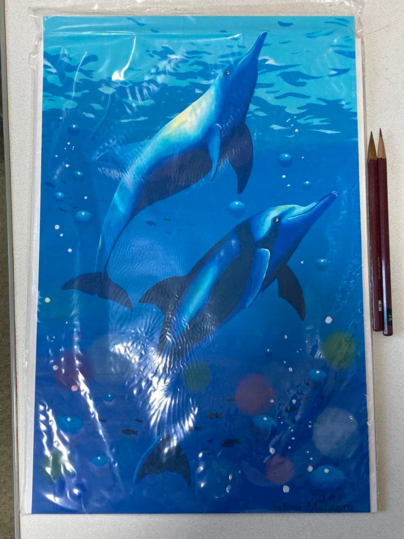 ドルフィン(原画)