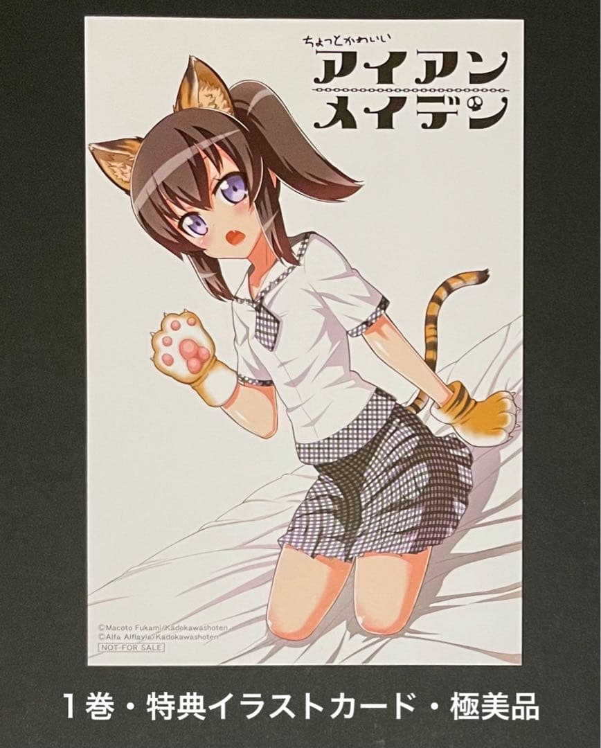 ちょっとかわいいアイアンメイデン 1巻・4巻・特典セット