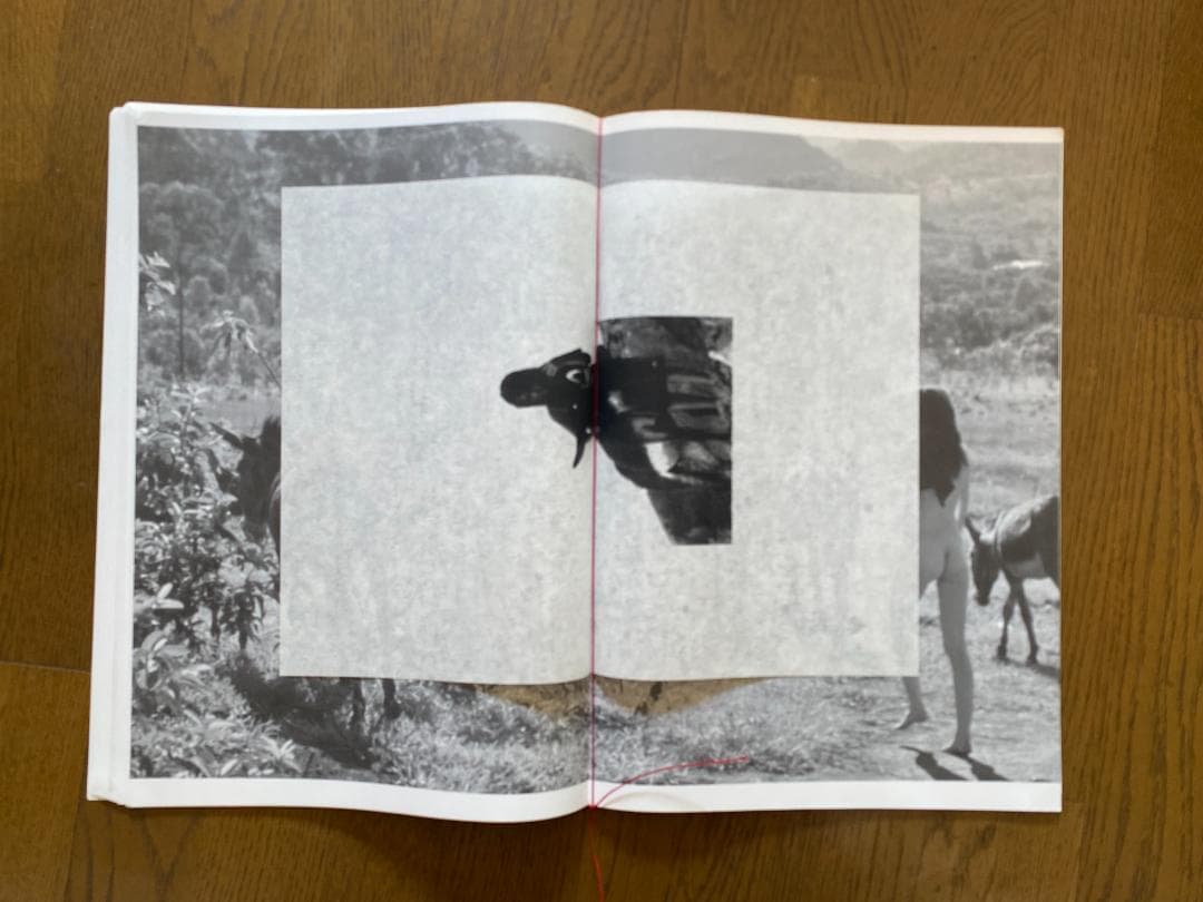 マーク・ボスウィック　100部限定　アートブック 貴重　オリジナルプリント付