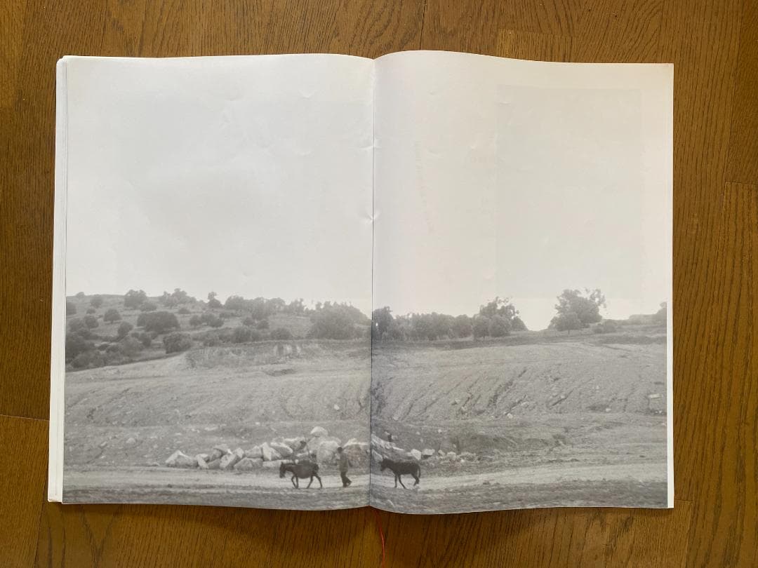 マーク・ボスウィック　100部限定　アートブック 貴重　オリジナルプリント付