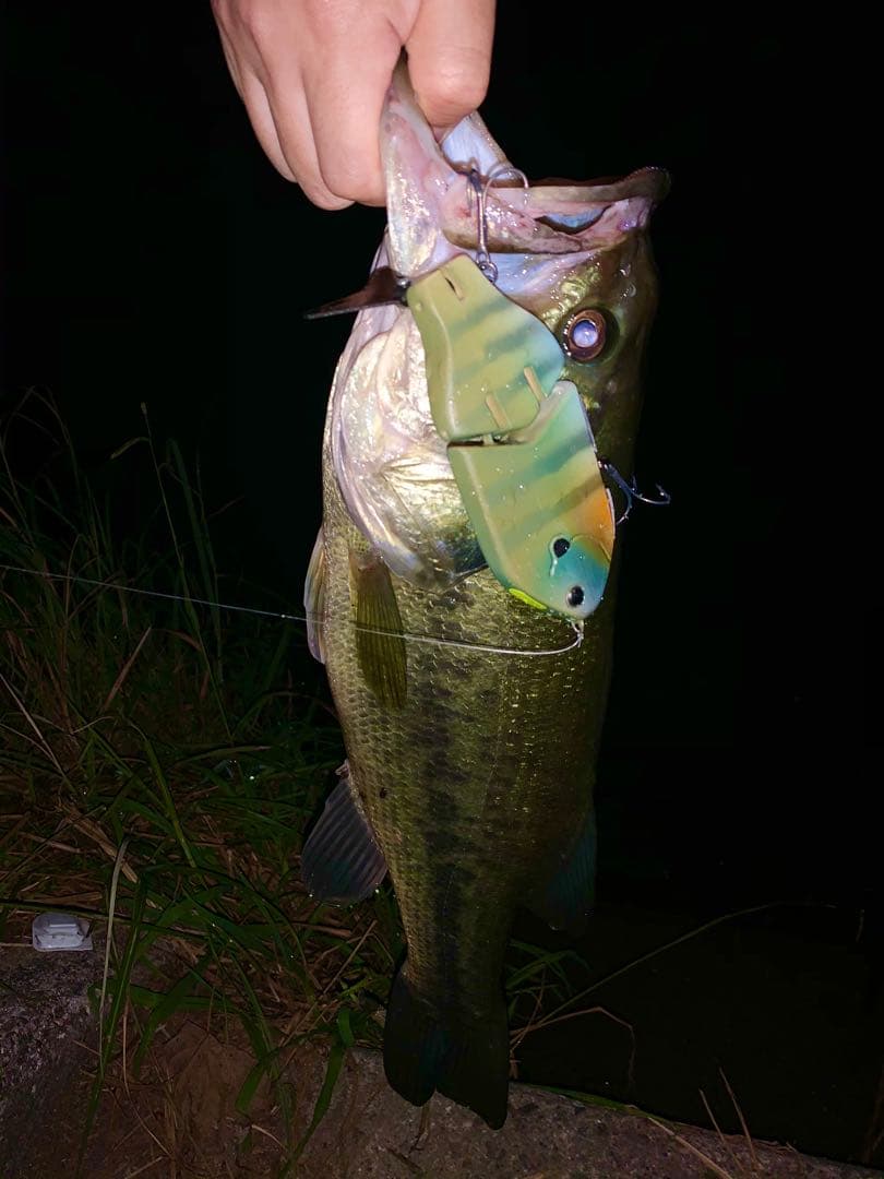 専用　UFギル　ハンドメイドルアー