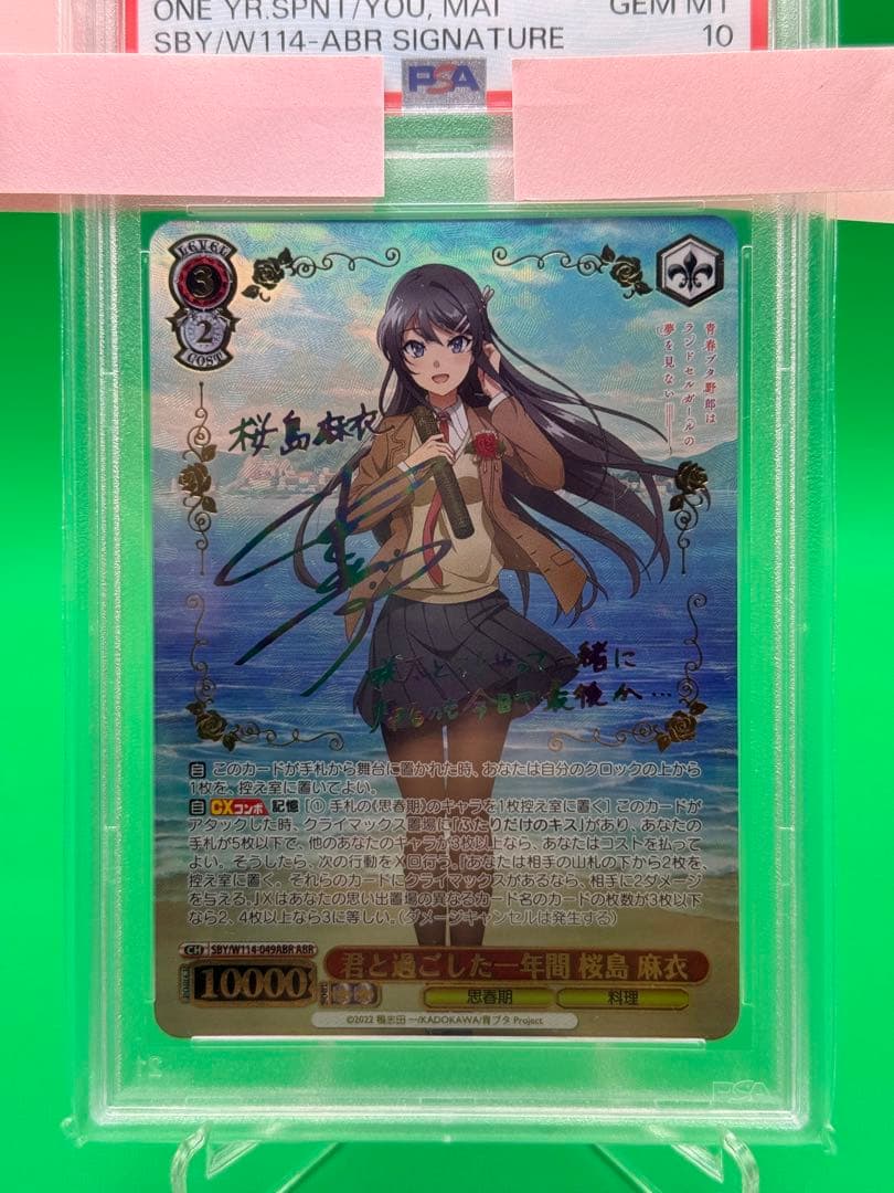 sakuta　君と過ごした一年間　桜島 麻衣