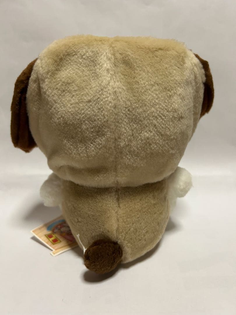 【激レア・タグ付き】アキ13点