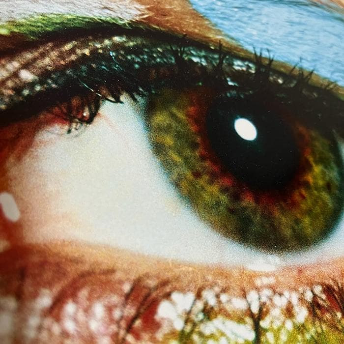 特別限定額装作品/Kate Moss face/ケイトモス/マリオ テスティーノ