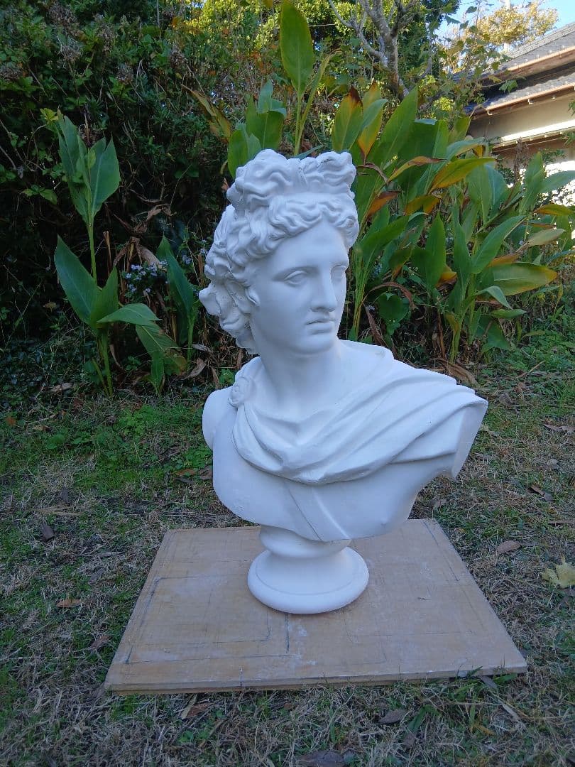 アポロ胸像。81cm