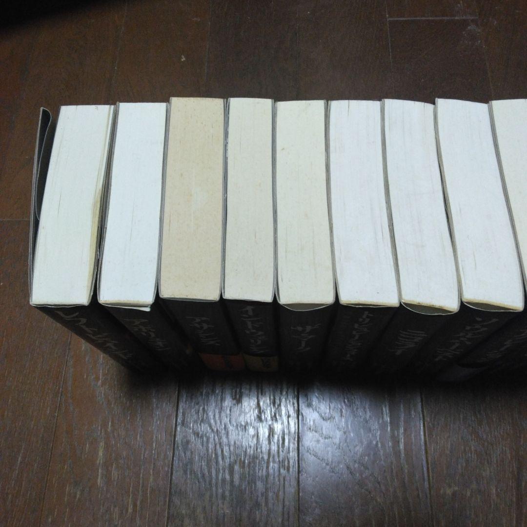 近未来小説　レフト・ビハインド シリーズ 全12巻　レフトビハインド