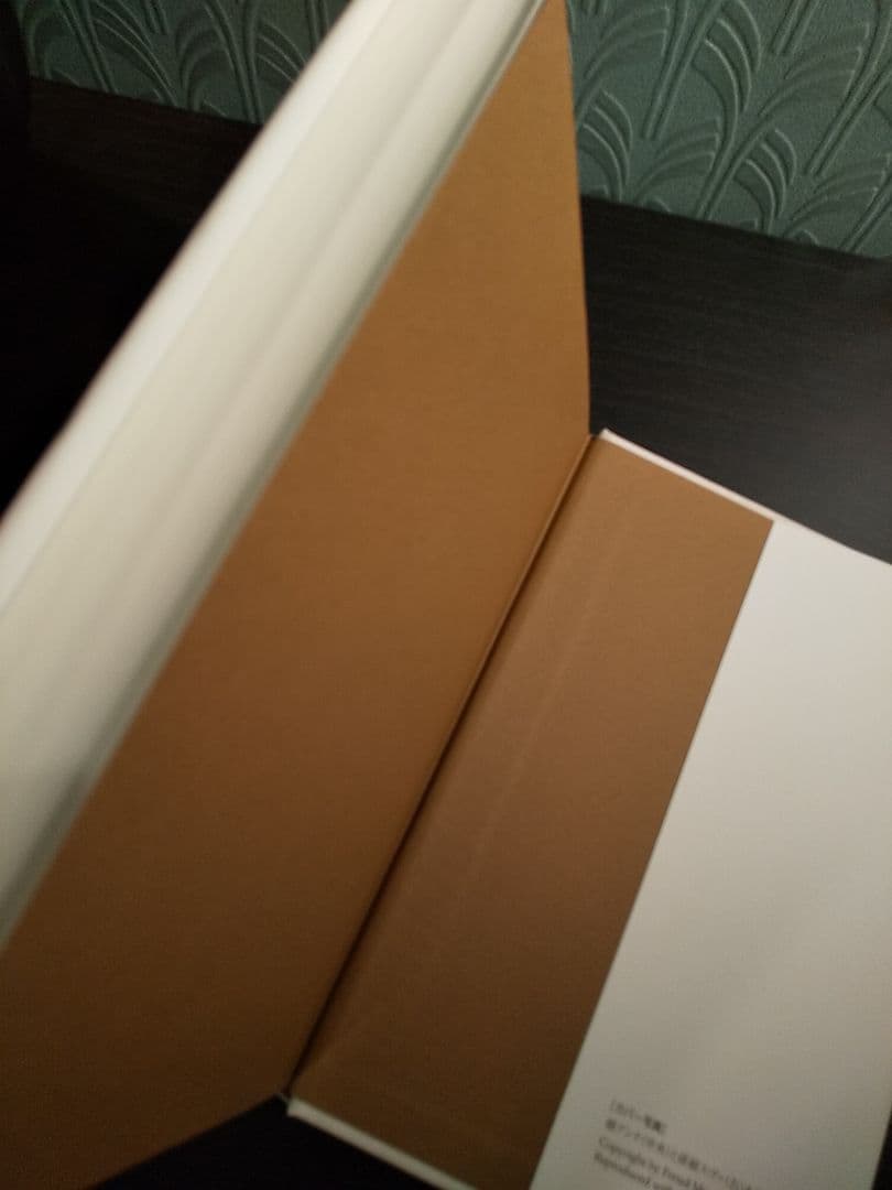 〈精神分析的子ども〉の誕生 フロイト主義と教育言説／下司晶 ☆書き込み無し保証