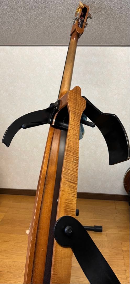 ベース Alter Ego Acoustic Line Figaro