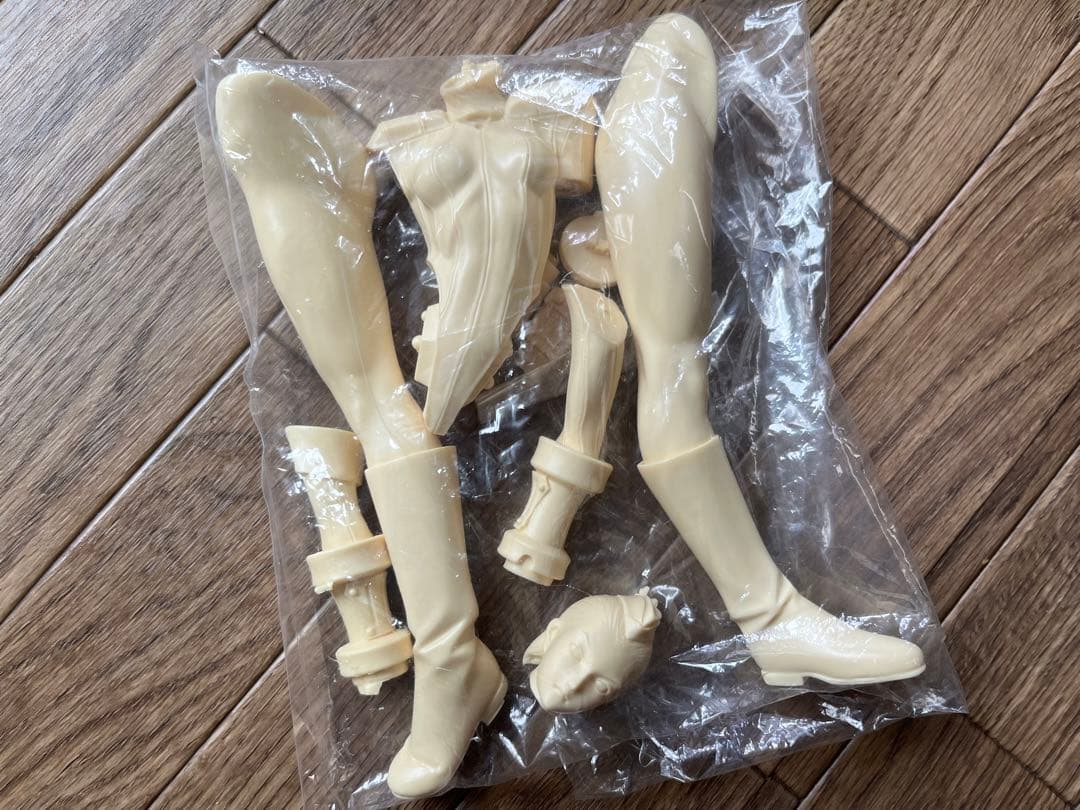 ワンダーショウケース　ストリートファイター　キャミィ　ガレージキット