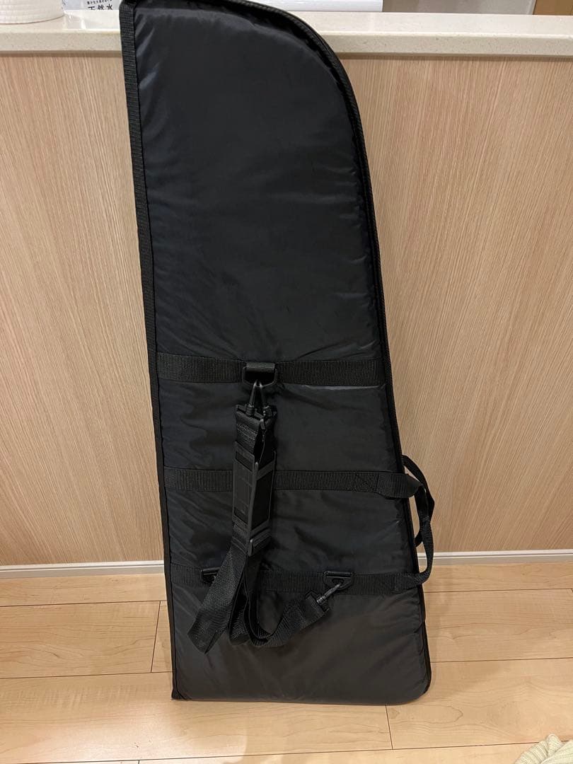 本日最終日！　Schecter C-1 etcセット