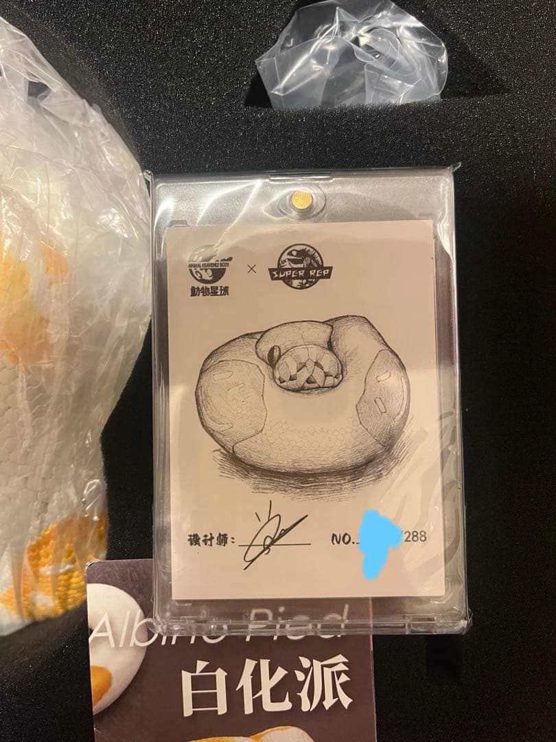 動物の惑星 plus 中国288体限定 ボールパイソン　アルビノ　パンプキン