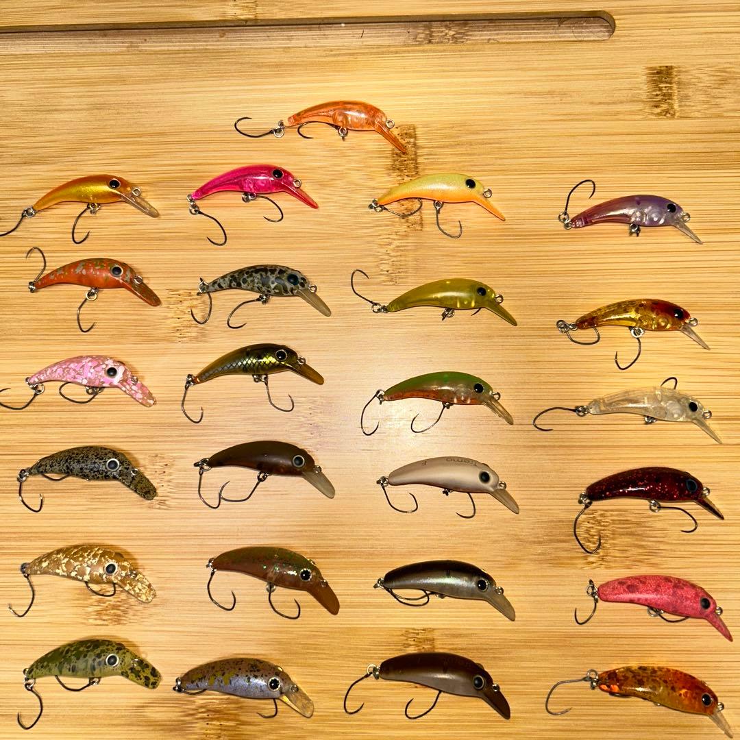 ムカイ　トレモ　F 25個