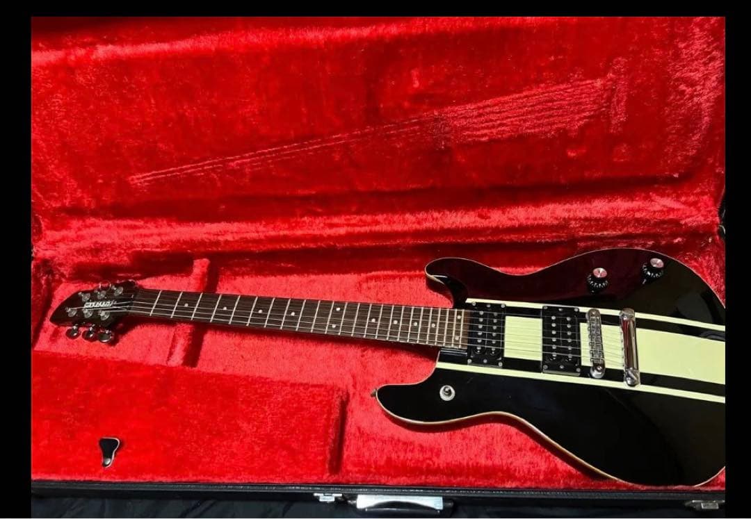 【Fernandes】エレキギター APG series 限定品