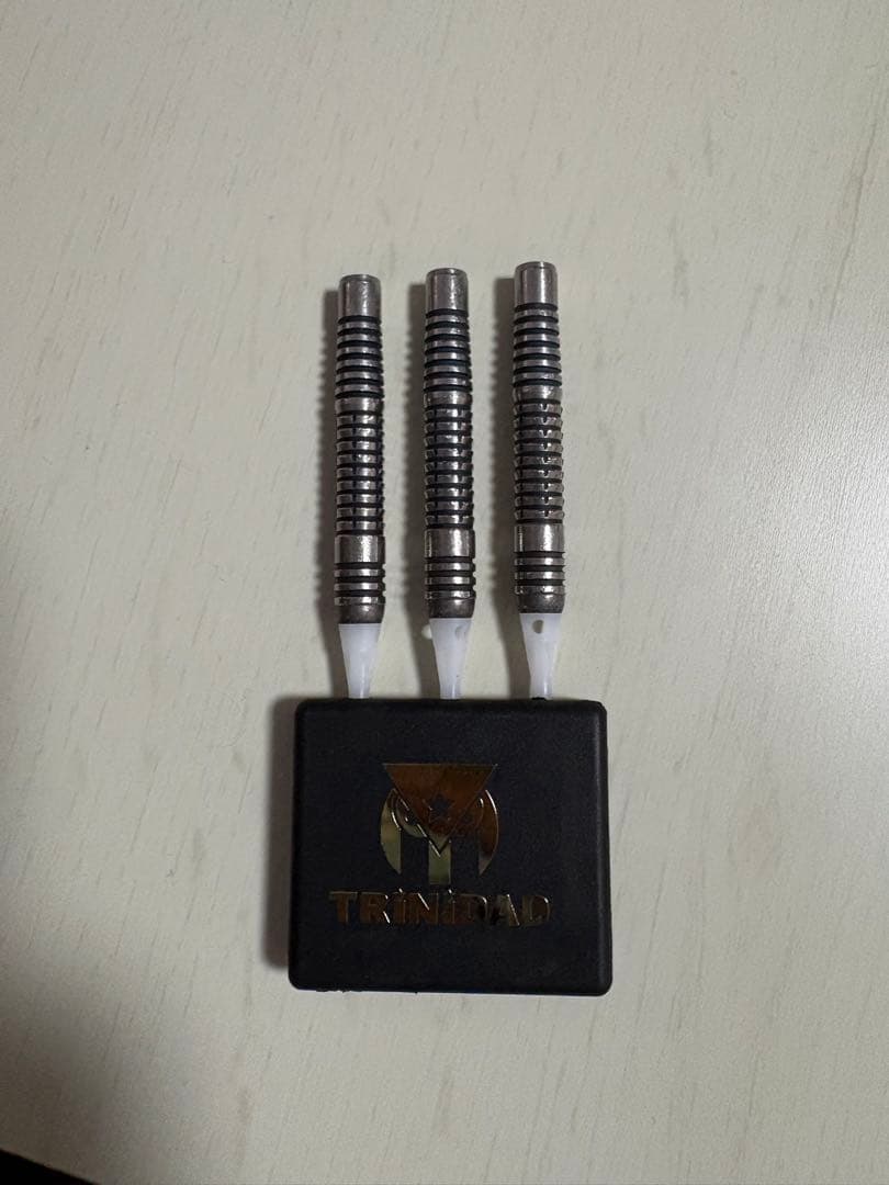 浅田斉吾モデル トリニダード ザ ロイヤル2023 リカルド