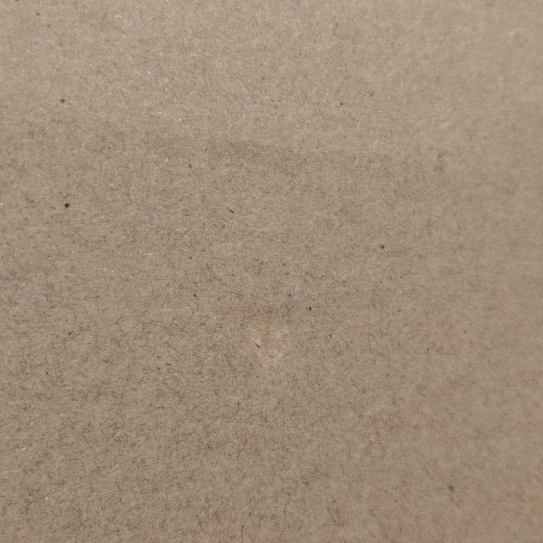 L BUILD ガンダムアストレア TYPE-X フィンスターニス　新品