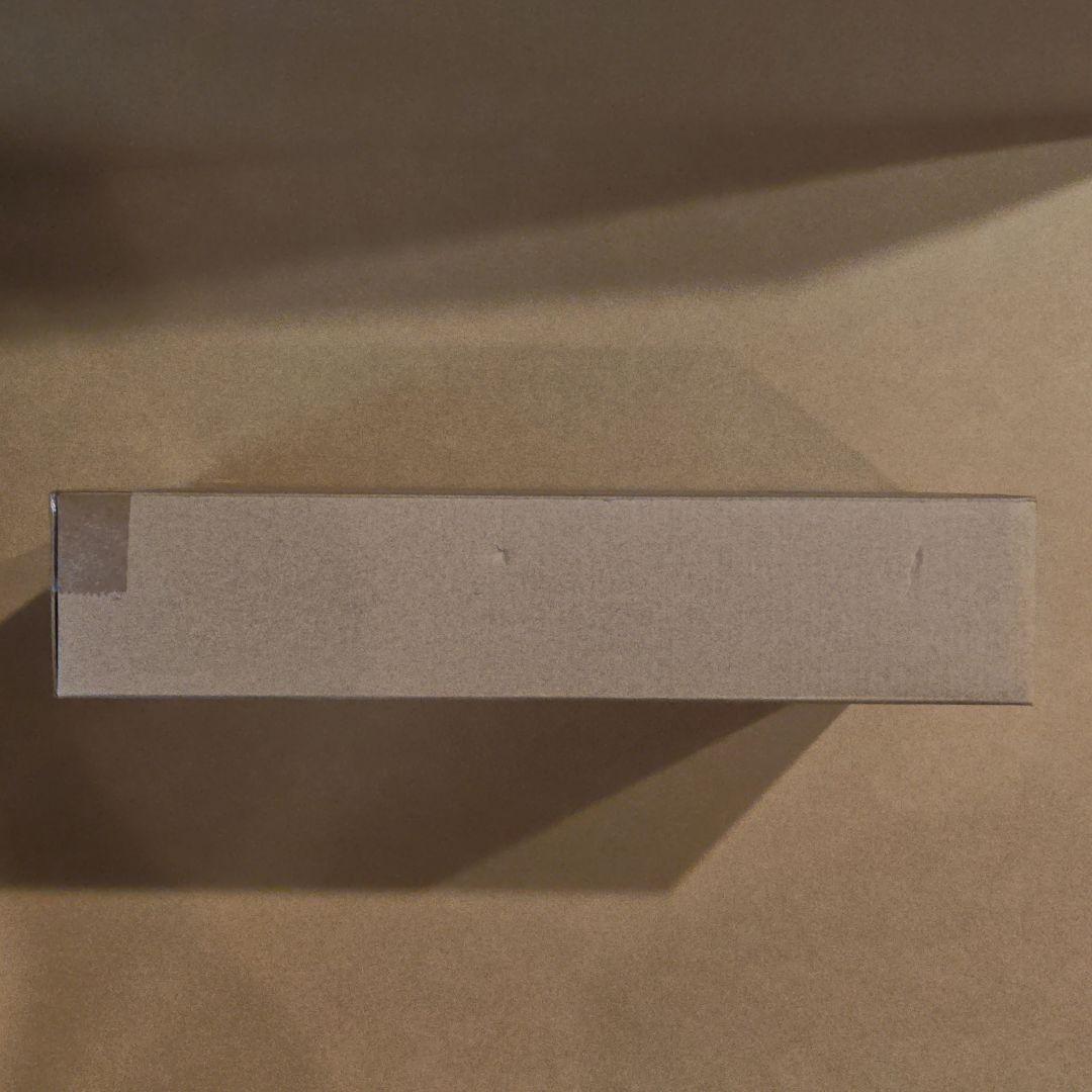 L BUILD ガンダムアストレア TYPE-X フィンスターニス　新品