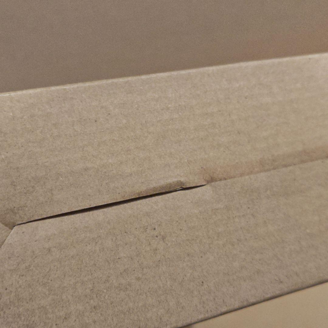 L BUILD ガンダムアストレア TYPE-X フィンスターニス　新品