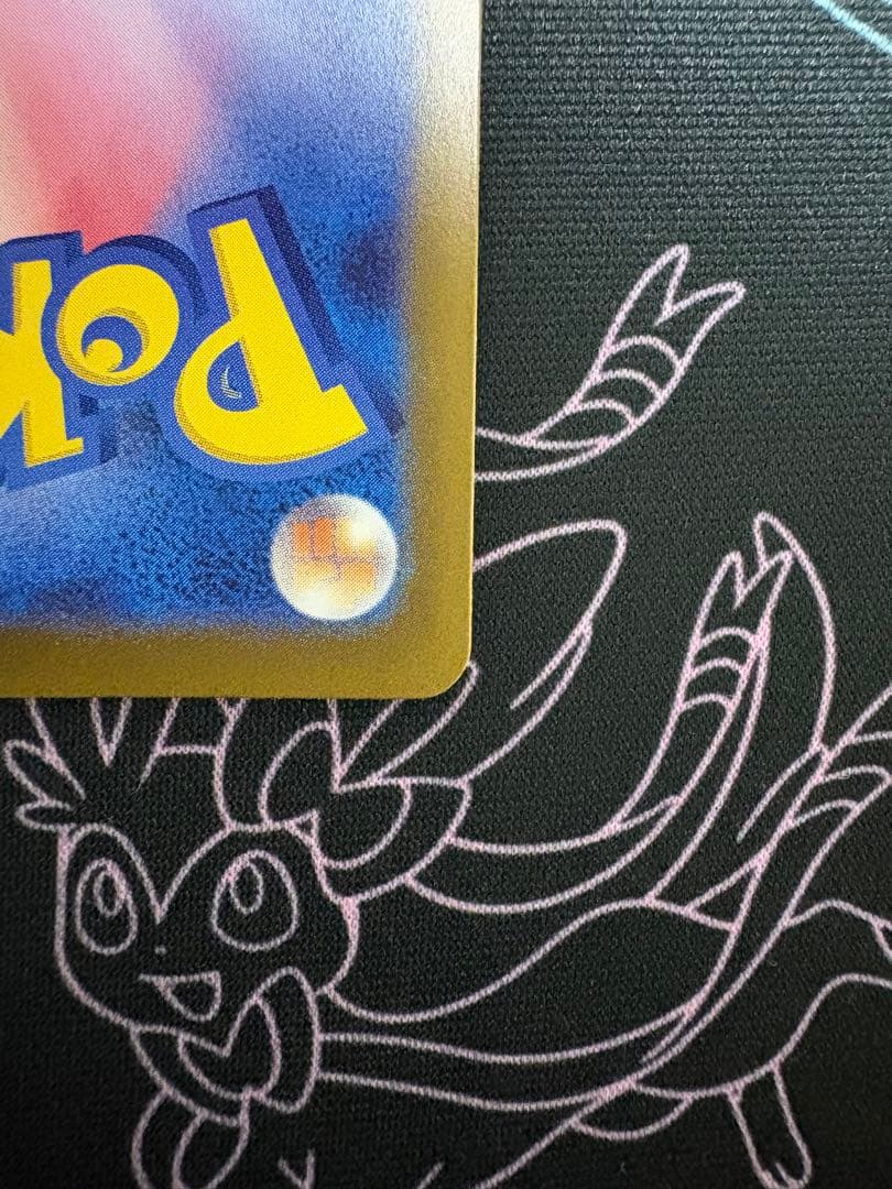 トランポリン大統領（プロフ確認願います）