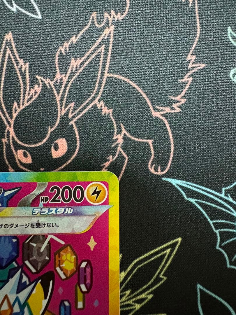 トランポリン大統領（プロフ確認願います）