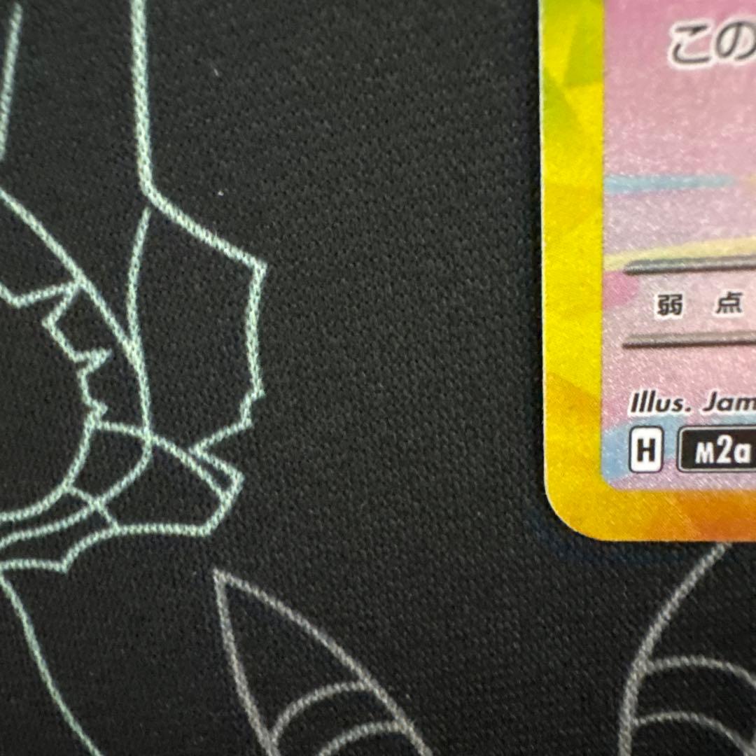 トランポリン大統領（プロフ確認願います）