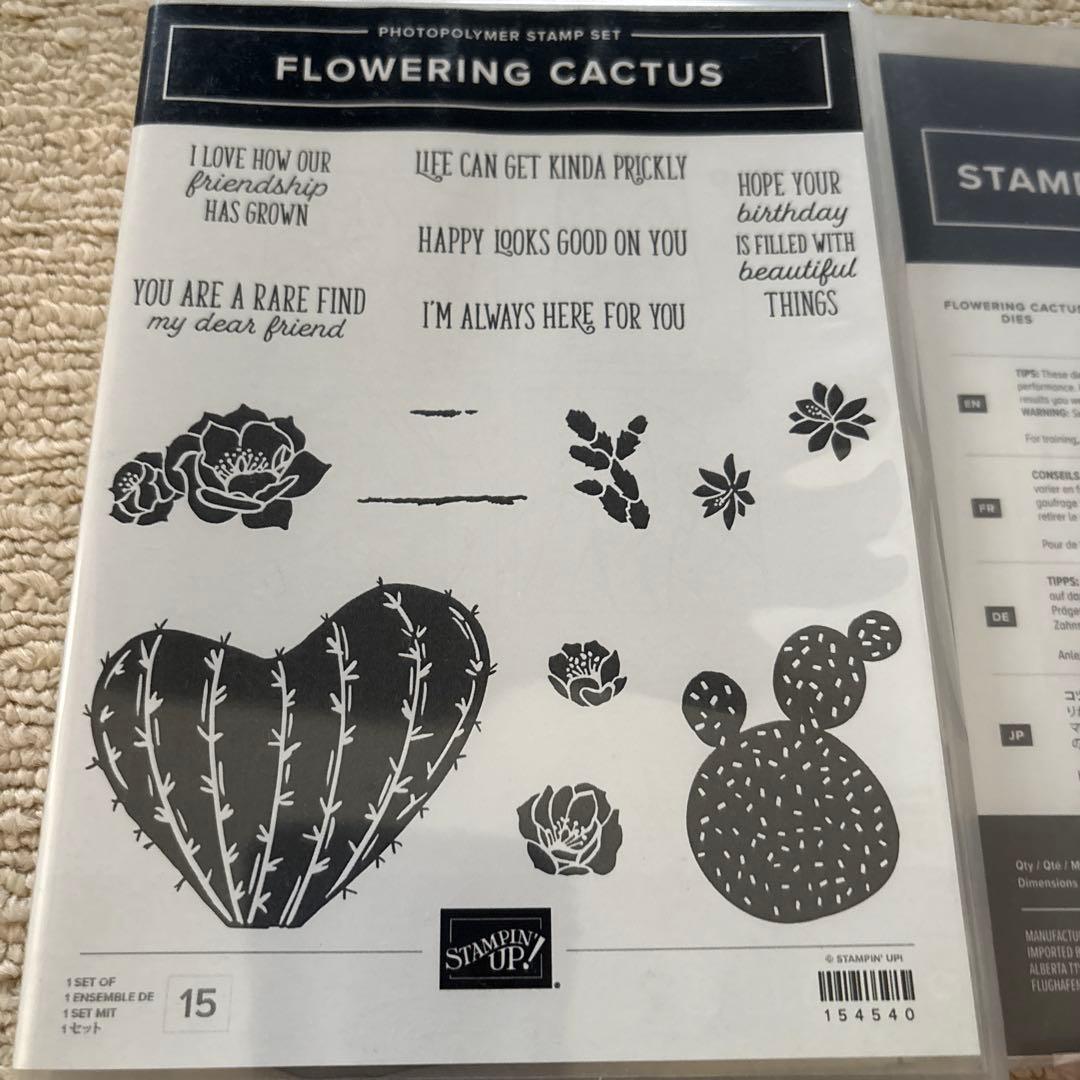 フラワリングカクタス バンドル　スタンピンアップ