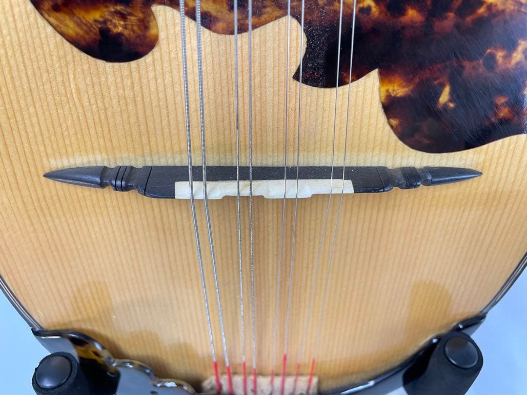 渡辺/ワタナベ ハイエンドオーダーマンドリン