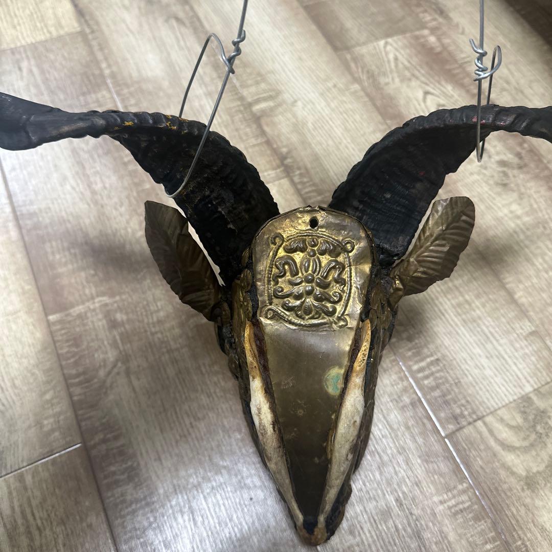 チベタンスカル　山羊　モンクスカル　チベット　法具　チベタンゴート　頭蓋骨