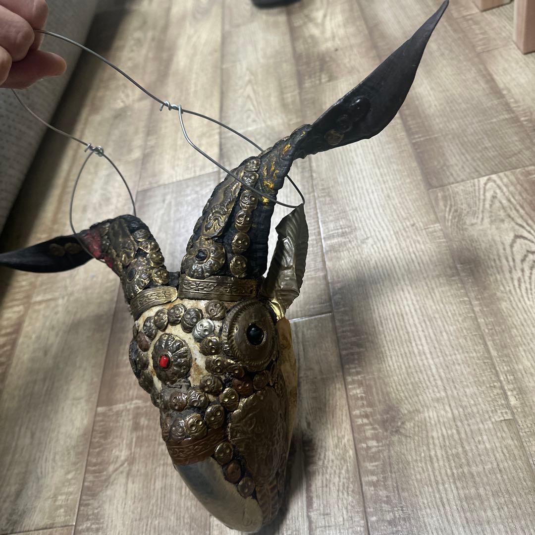 チベタンスカル　山羊　モンクスカル　チベット　法具　チベタンゴート　頭蓋骨
