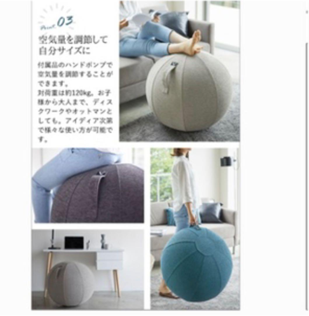 バランスボール　65センチ