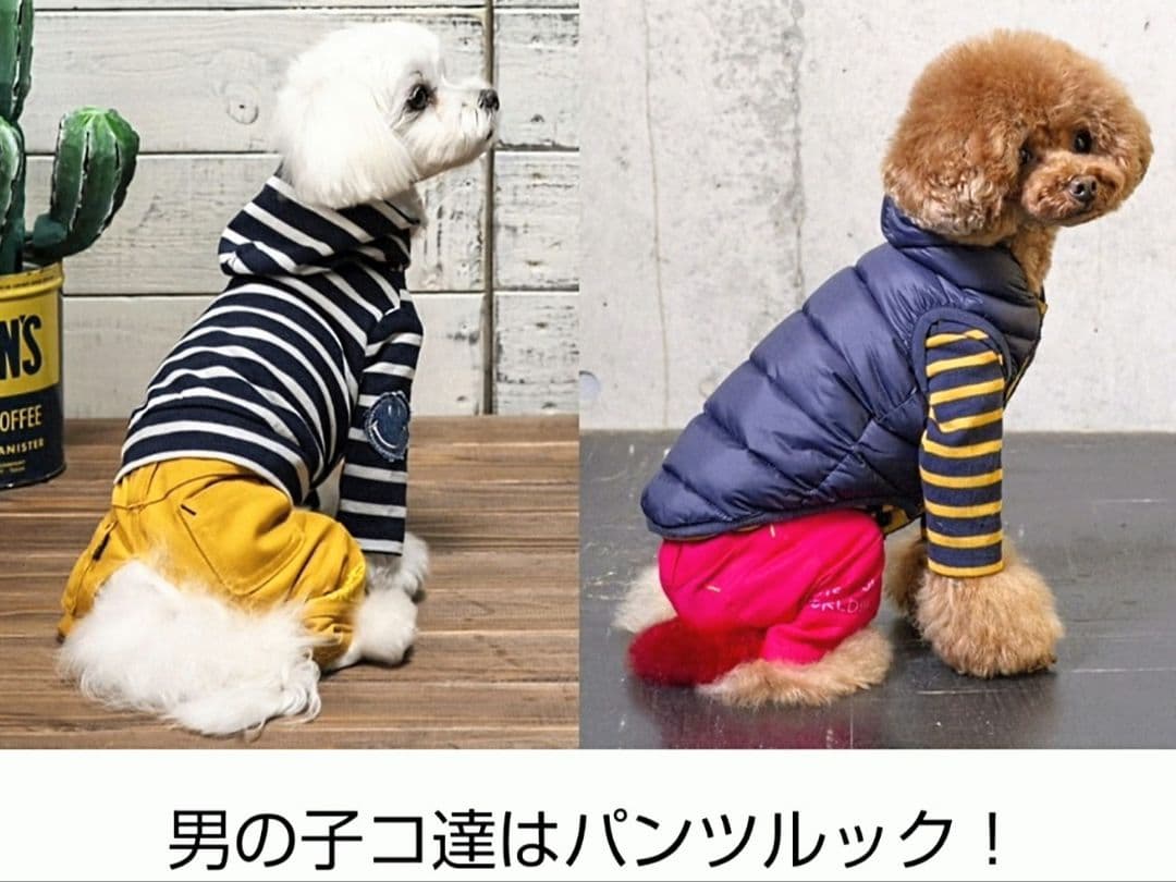 ビッグBDハイネック+パンツ　asknowasdewanアズノゥアズデワン