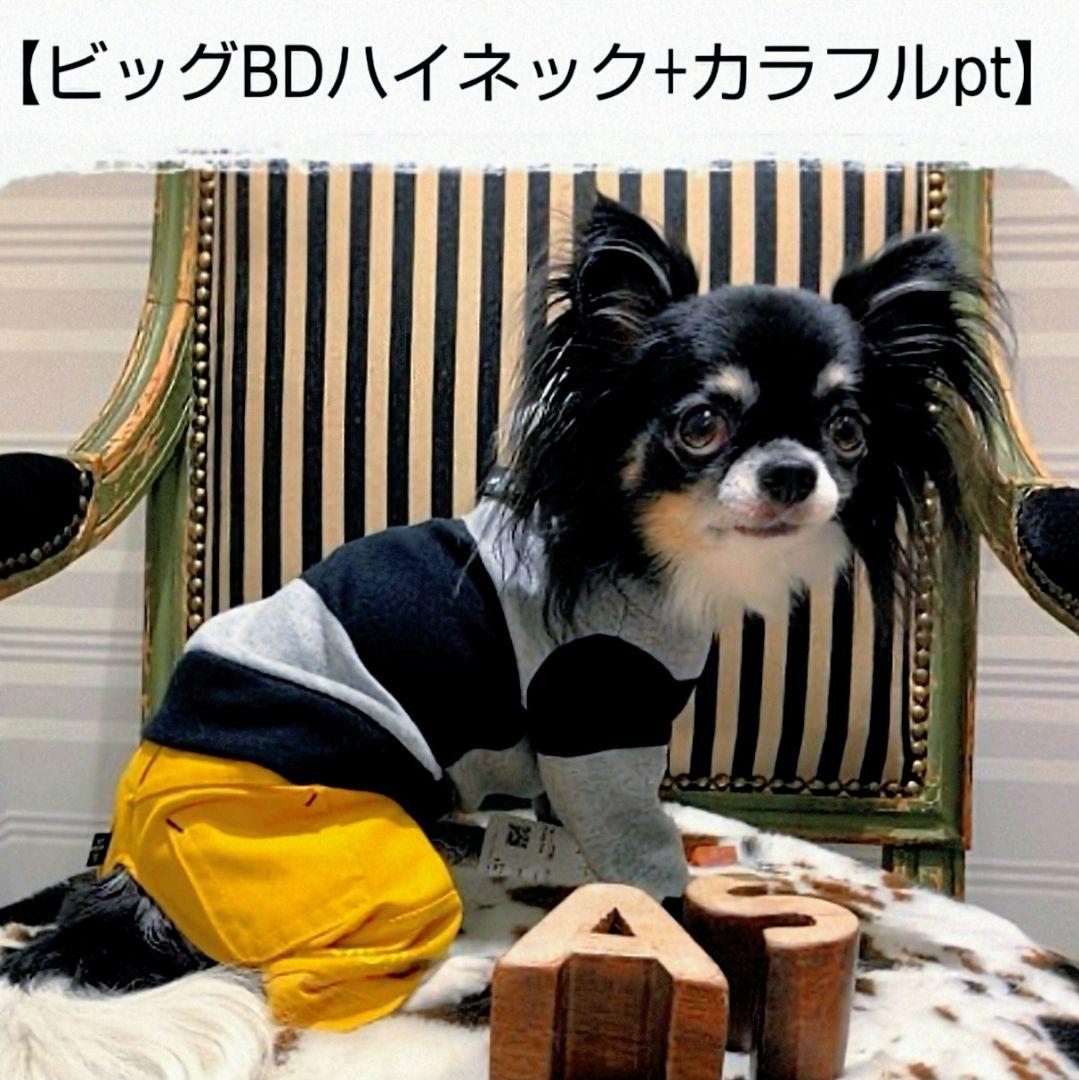 ビッグBDハイネック+パンツ　asknowasdewanアズノゥアズデワン