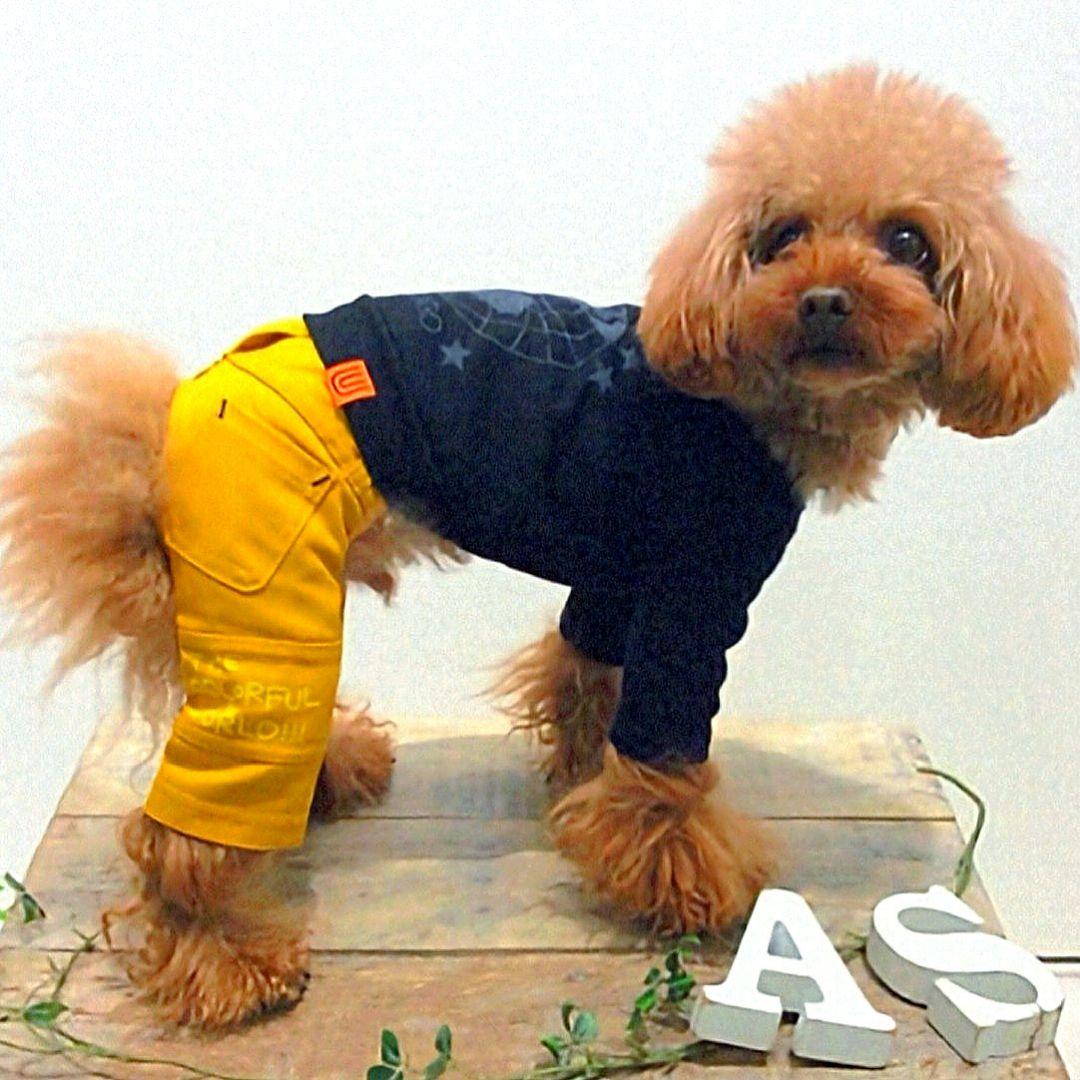 ビッグBDハイネック+パンツ　asknowasdewanアズノゥアズデワン