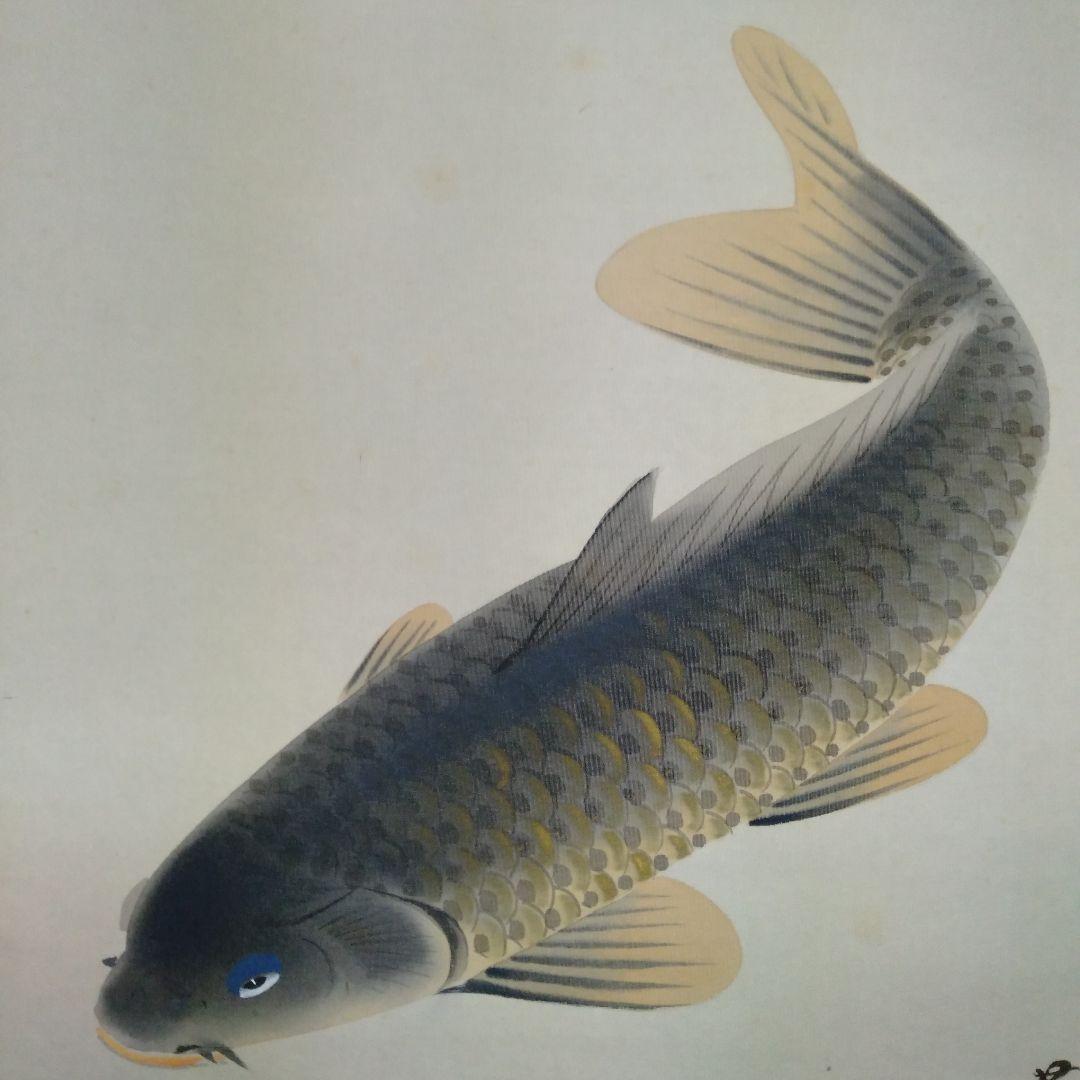 掛け軸　田上芳泉　美術年鑑掲載作家　「遊鯉　二匹鯉」