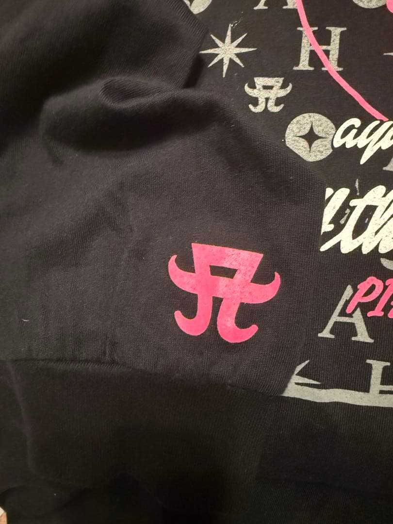 浜崎あゆみ 24th ぴあアリーナ ロングスリーブTシャツ ロンＴ XL 希少