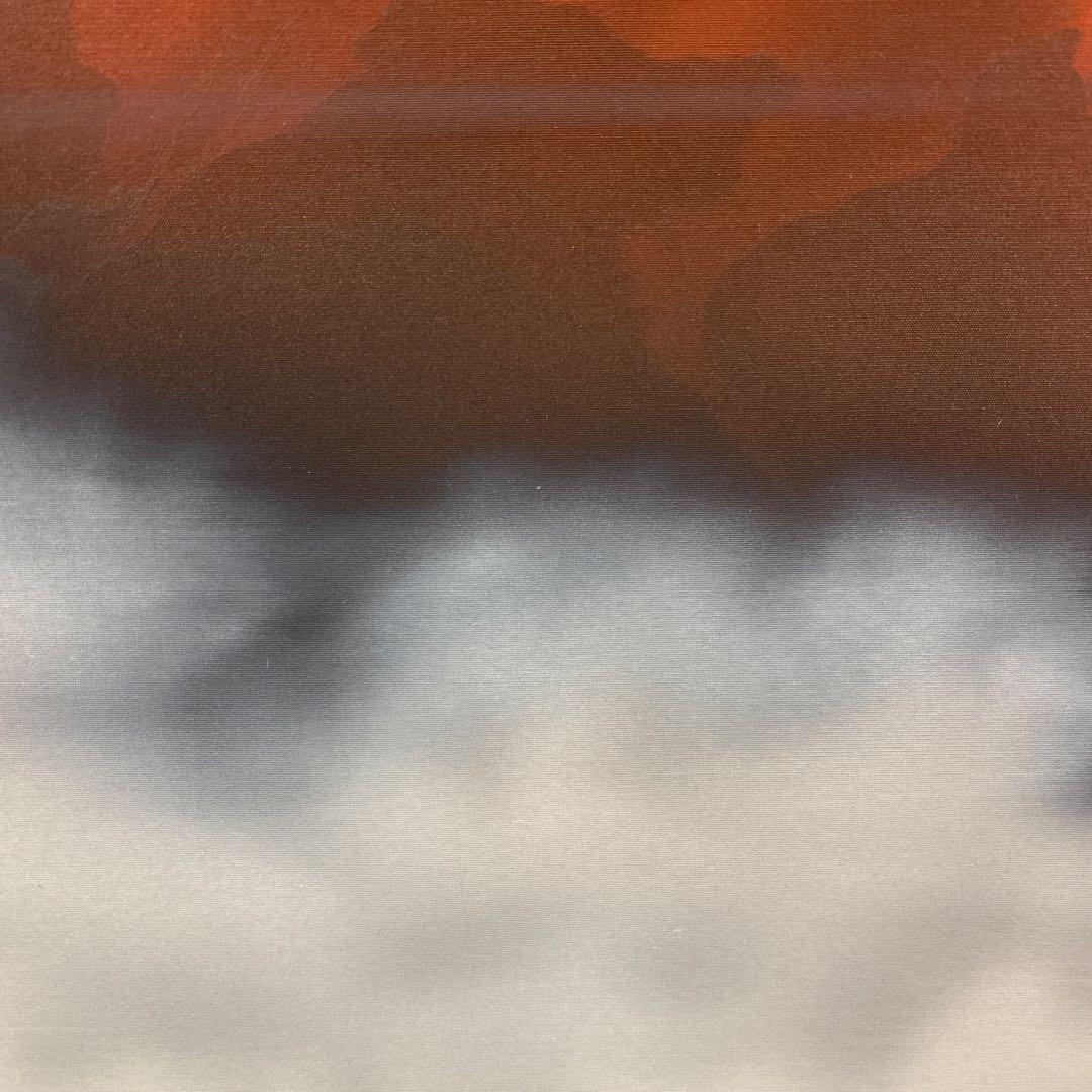 美品 掛け軸 西森湧光作 赤富士図 共箱 縁起物 美術年鑑掲載