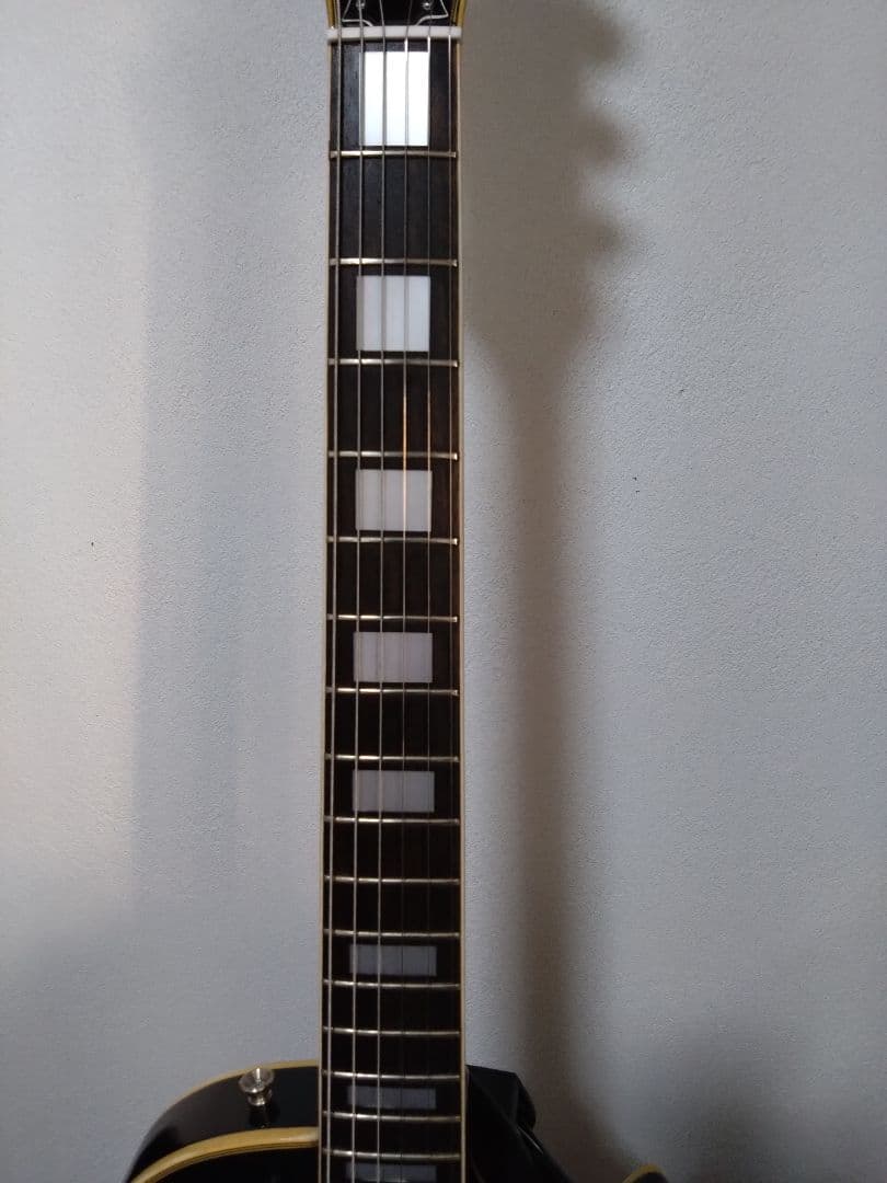 へ*ぺ様 Fresher フレッシャー レスポールカスタム ハードケース付