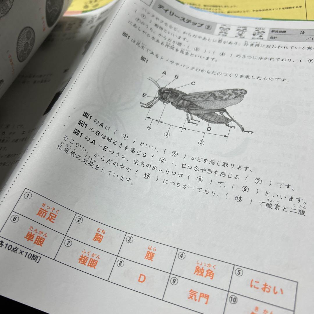 ㉓ AB サピックス　SAPIX 4年　理科　夏期講習　サマーサピックス