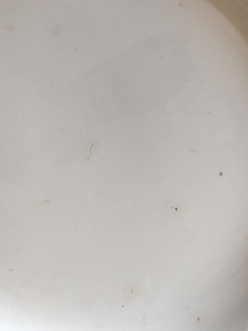 アンティーク　フランス　サルグミンヌ　白い　大皿