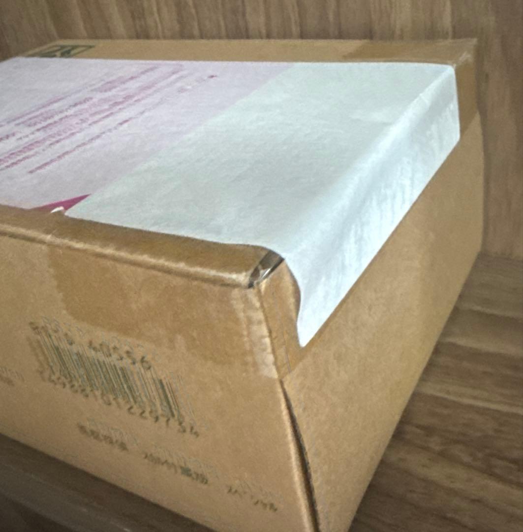 風都探偵仮面ライダースカルの肖像 真骨彫製法 仮面ライダーW サイクロンスカル