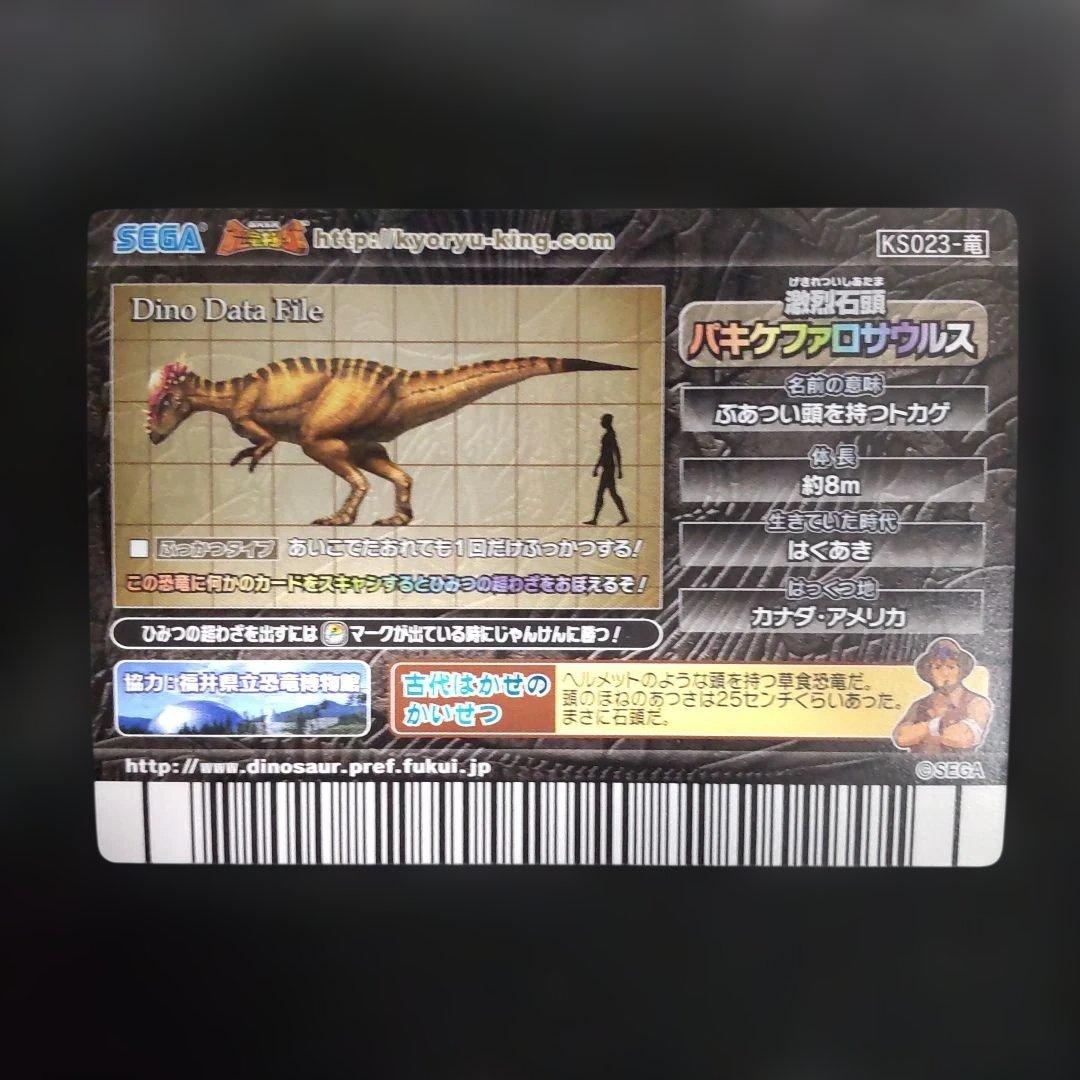 古代王者恐竜キング パキケファロサウルス 化石 シークレット