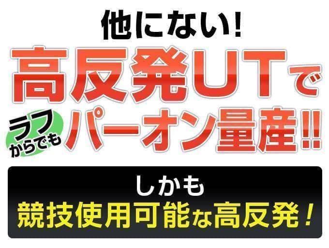 【ヘッド2個】★ ワークスゴルフ ダイナ FTR 激飛び適合高反発UT2個セット