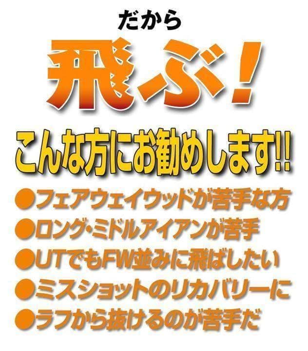 【ヘッド2個】★ ワークスゴルフ ダイナ FTR 激飛び適合高反発UT2個セット